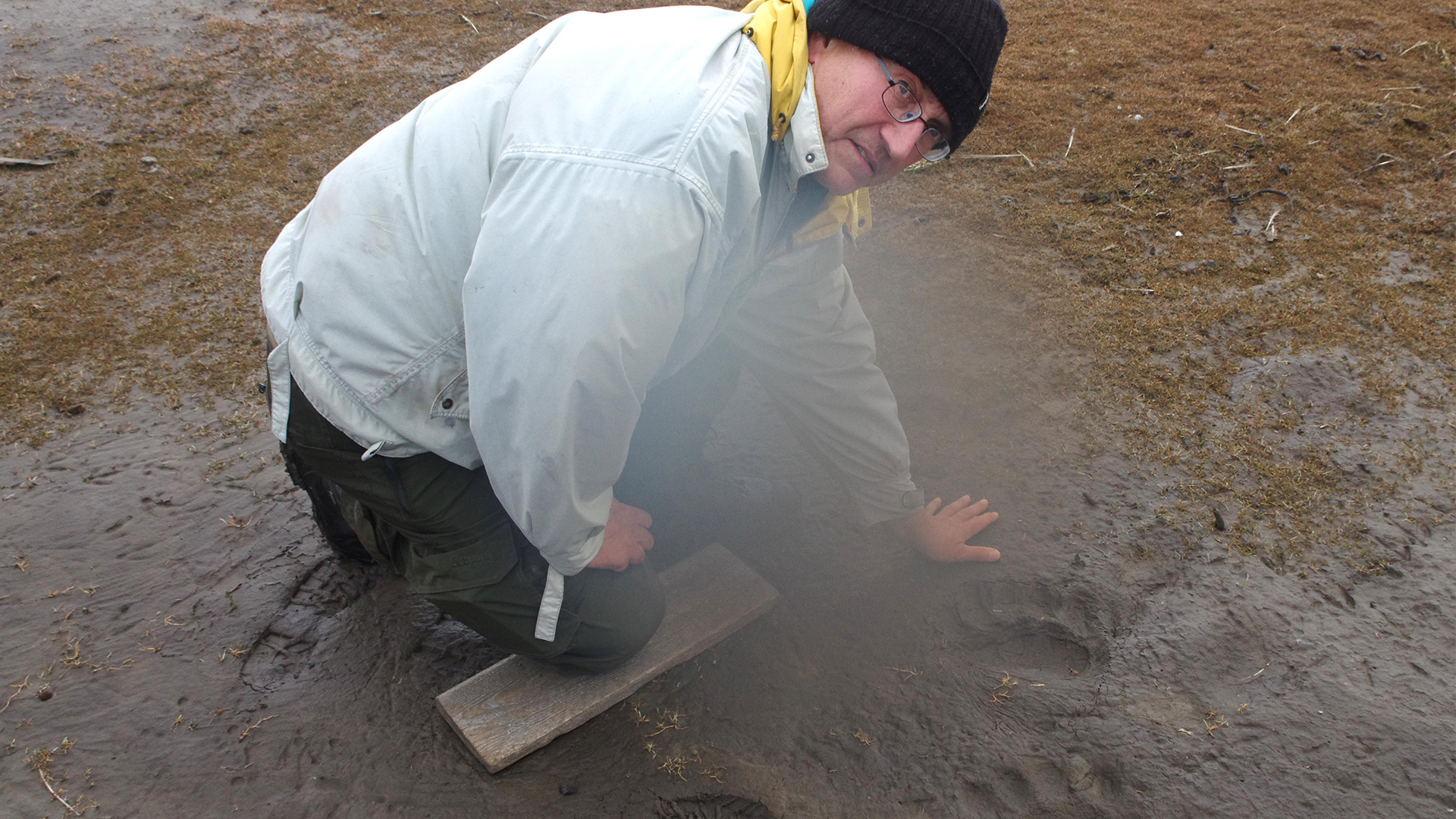 Picture of man a watching polar bear tracks.